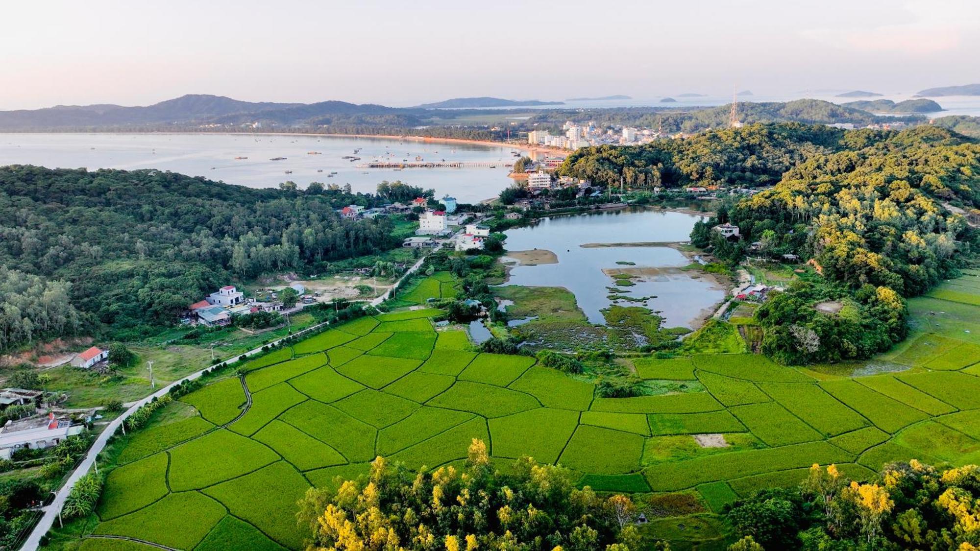 Coto Island Beach Village Homestay Dao Co To Buitenkant foto